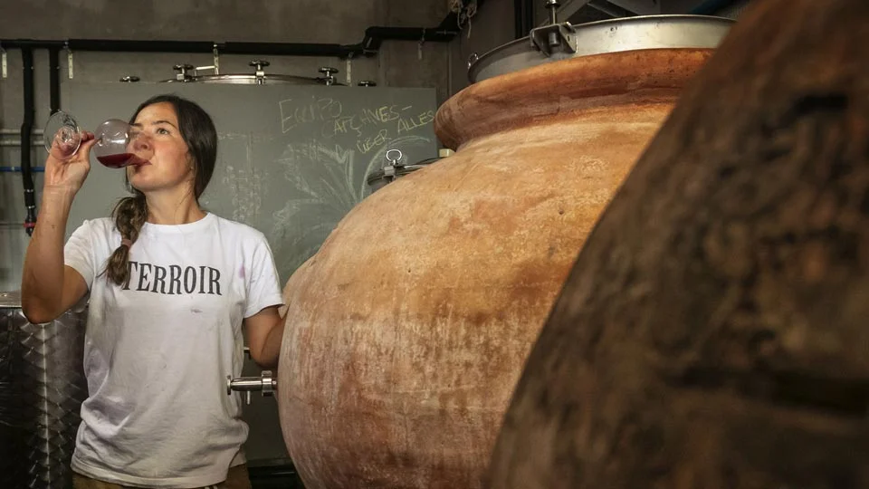 Terroir al limit 018
