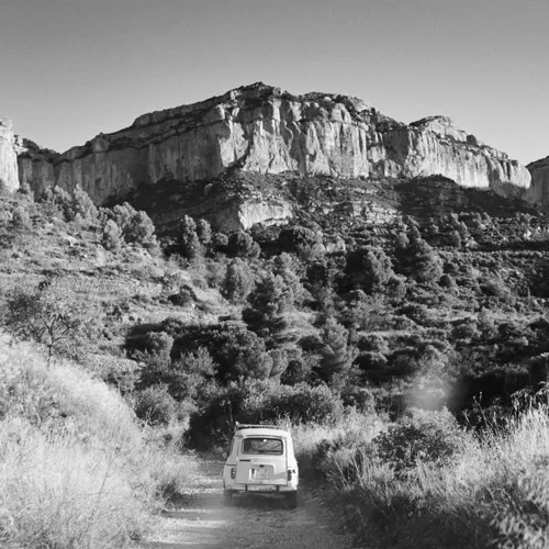 Terroir Sense Fronteres — winery brand and website